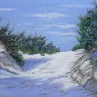 Cool Shadows
