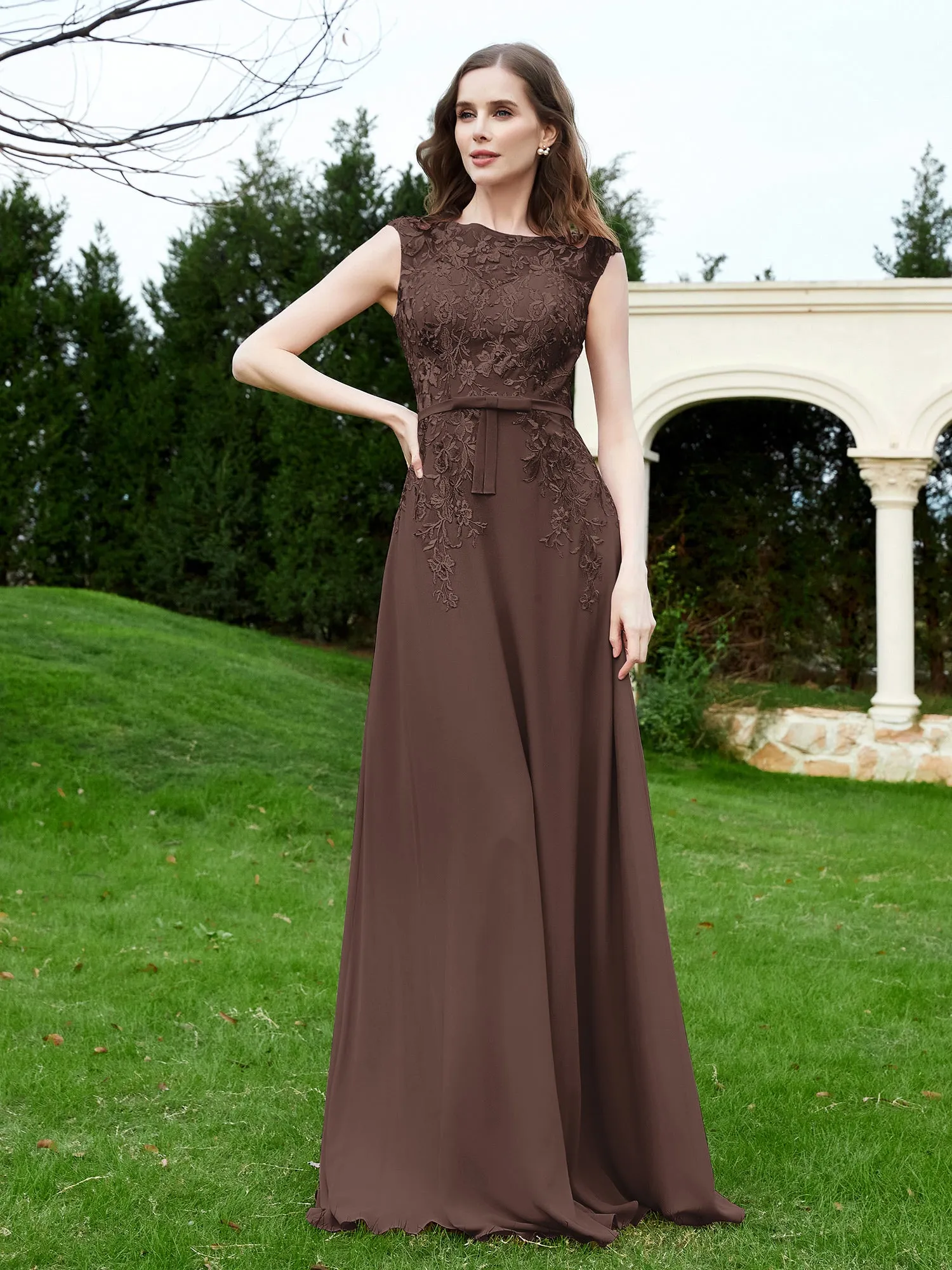Elegant Illusion Lace Appliqued Dress With Buttons Chocolate Plus Size